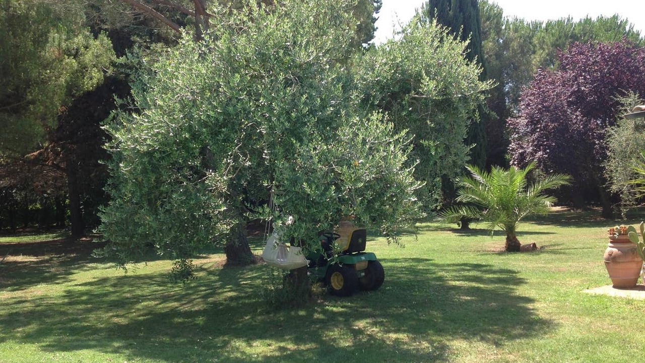 Photo of Outdoor in Pisa
