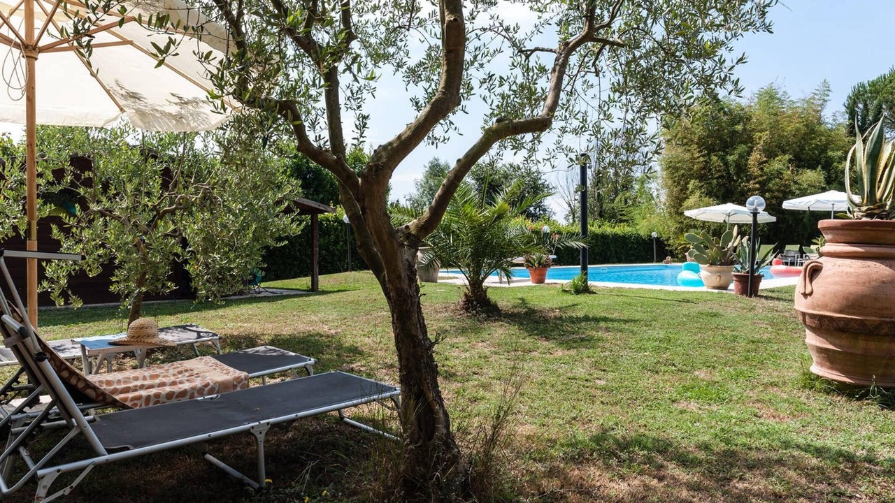 Photo of Outdoor in Pisa