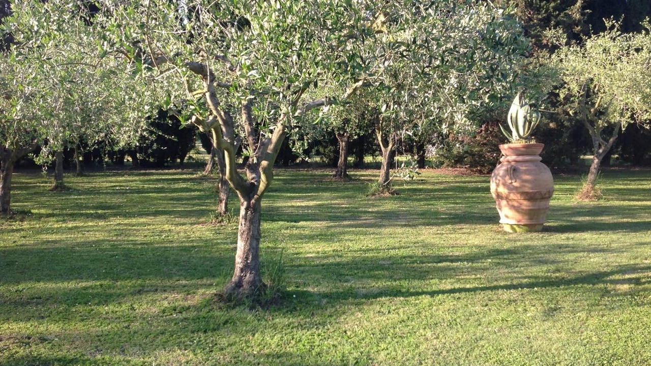 Photo of Outdoor in Pisa