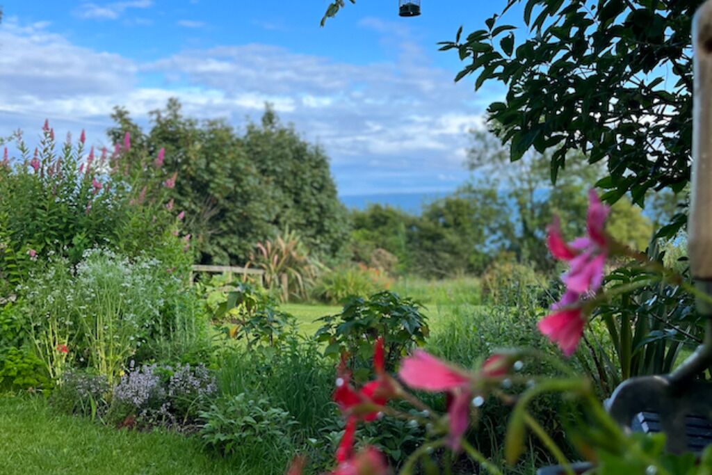 Photo of Outdoor in Carrickfergus