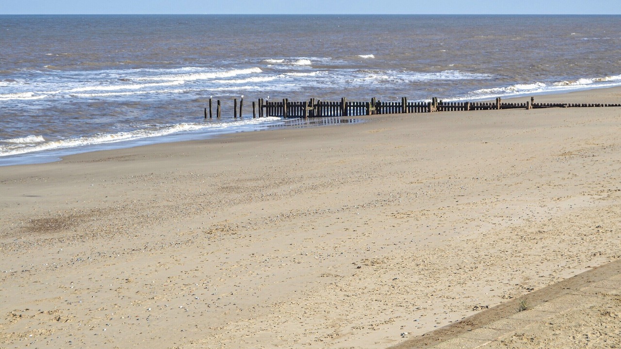 Photo of Others in Bacton