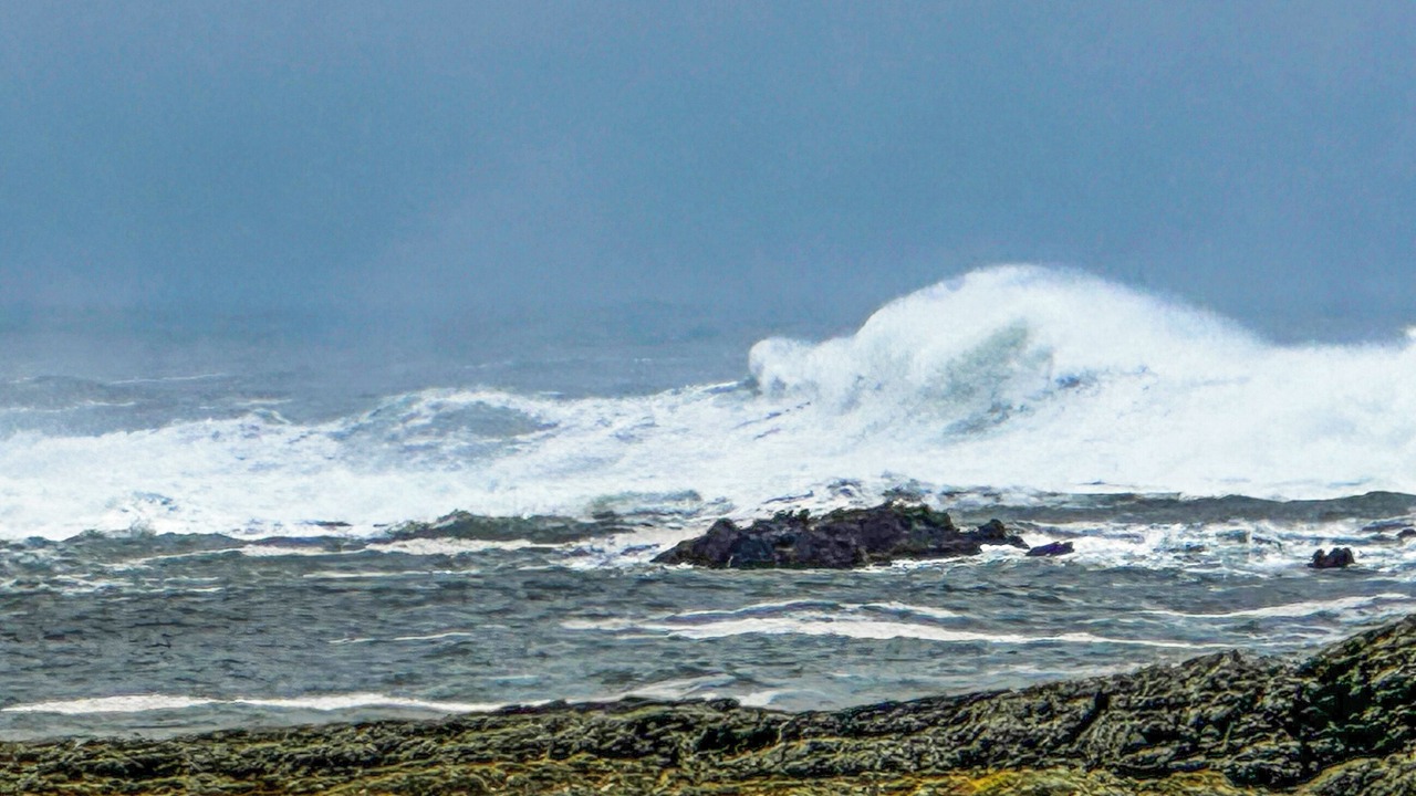 Photo of Others in Kilchoman
