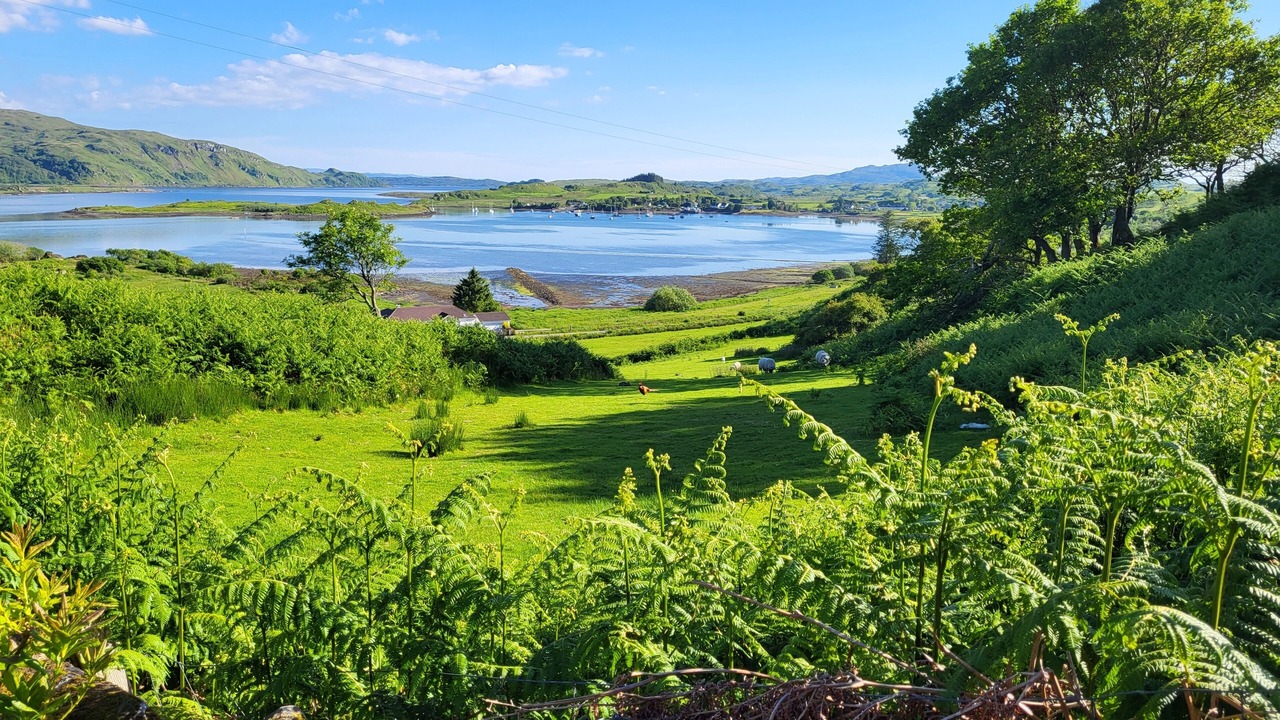 Photo of Outdoor in Isle of Seil