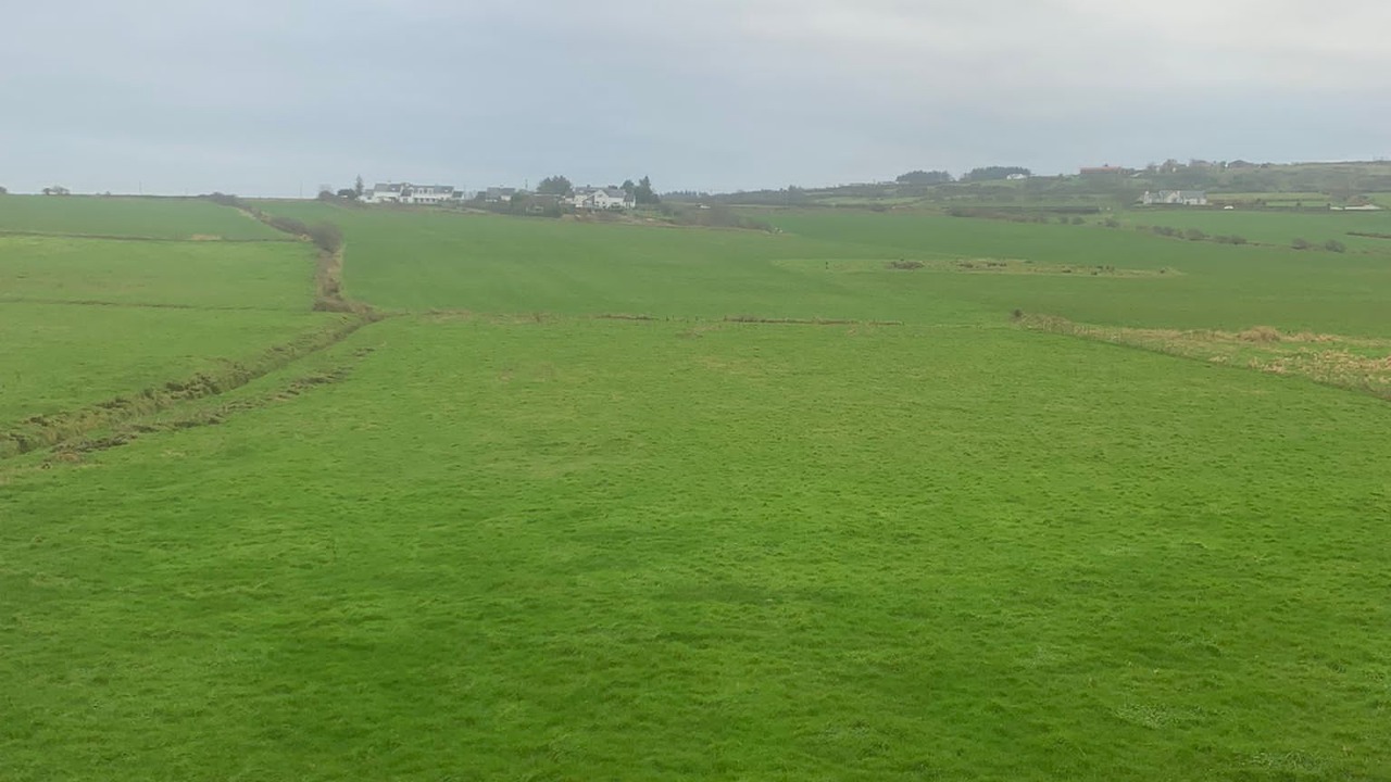 Photo of Others in Bushmills