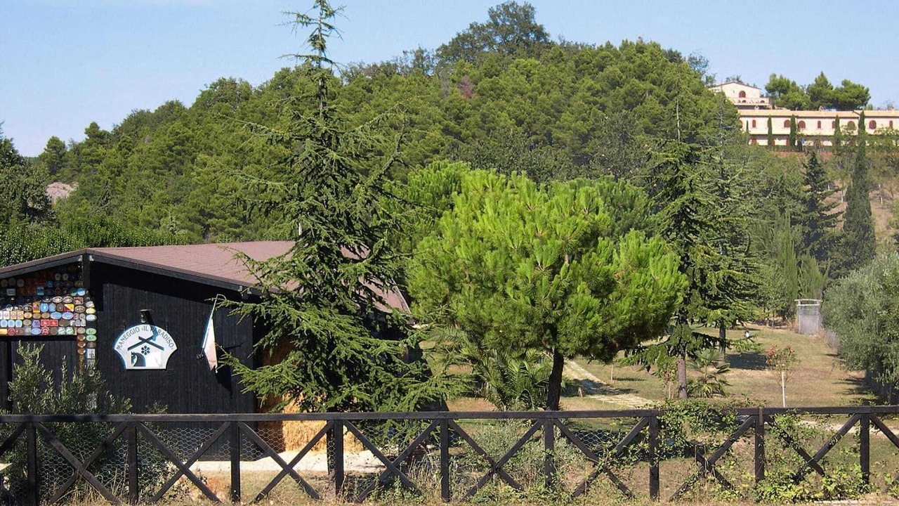 Photo of Others in Montelparo