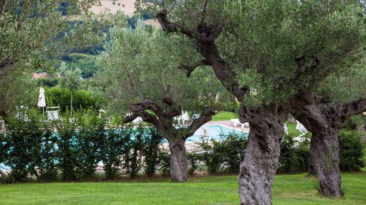 Photo of Outdoor in Fossombrone