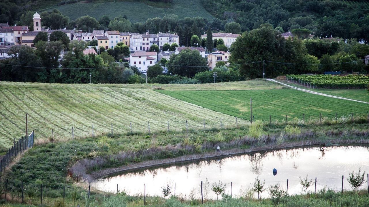 Photo of Outdoor in Fossombrone