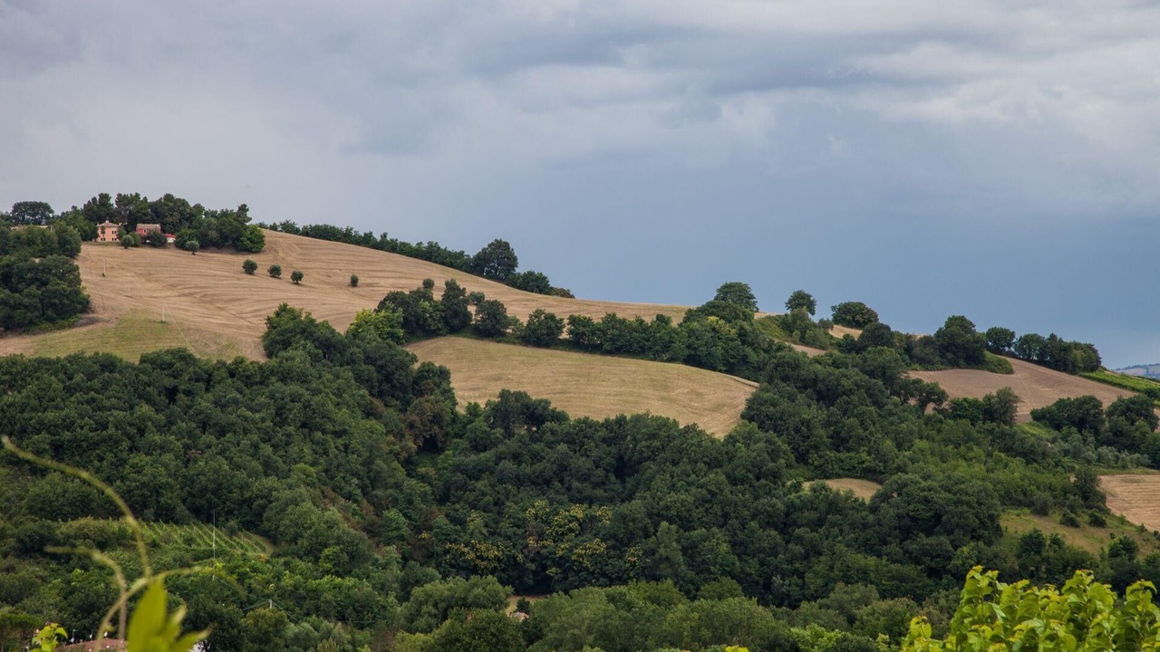 Photo of Outdoor in Fossombrone