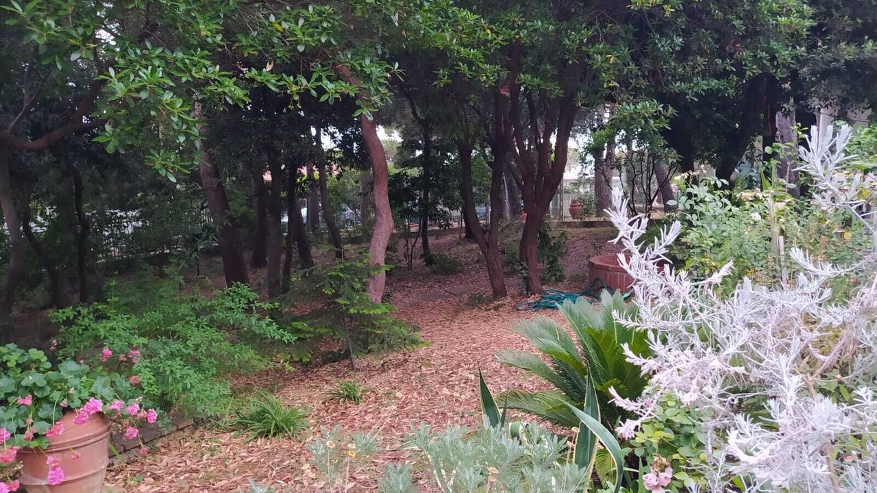 Photo of Outdoor in Quercianella