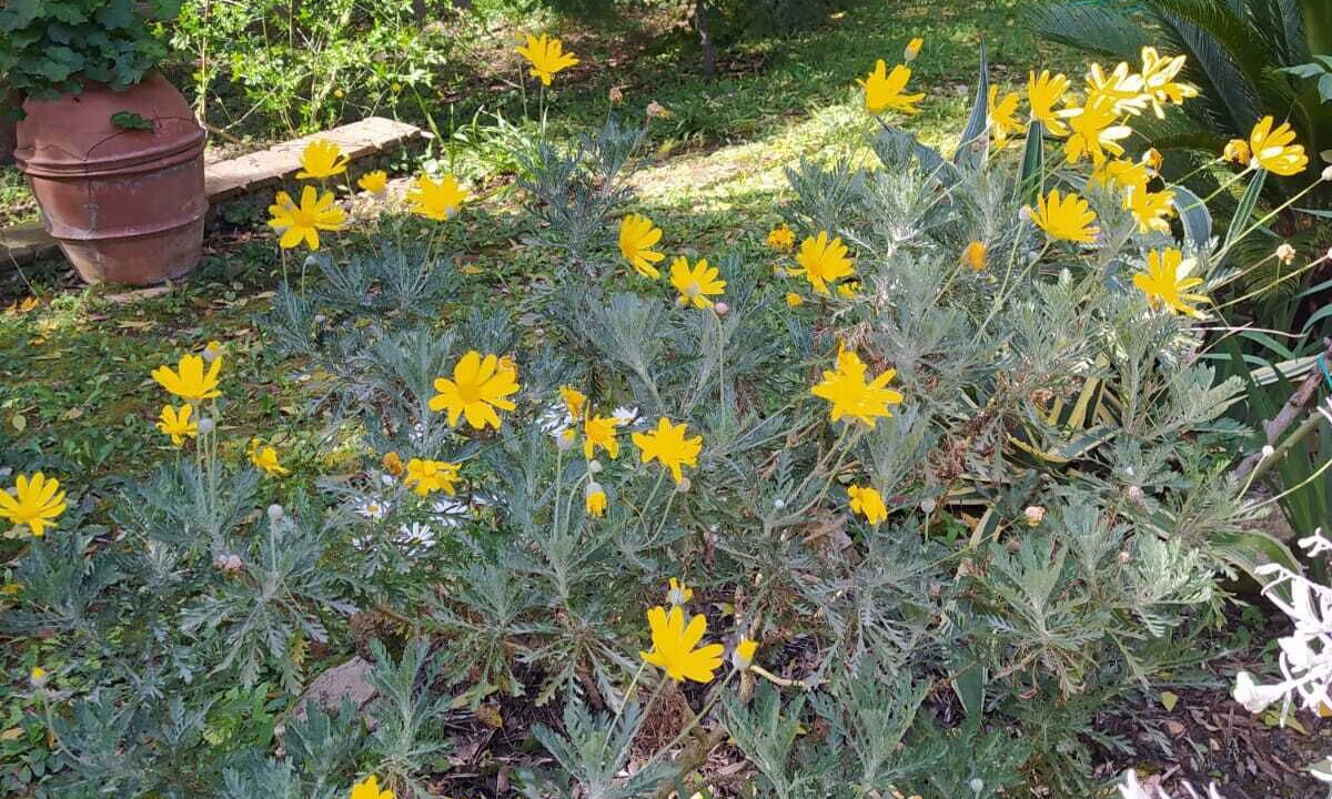 Photo of Outdoor in Quercianella