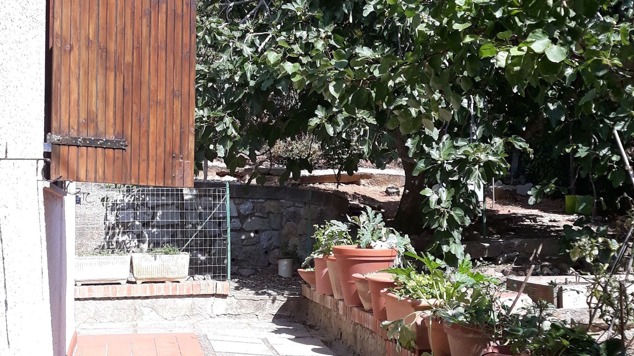 Photo of Outdoor in Quercianella
