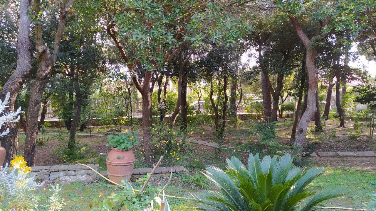 Photo of Outdoor in Quercianella