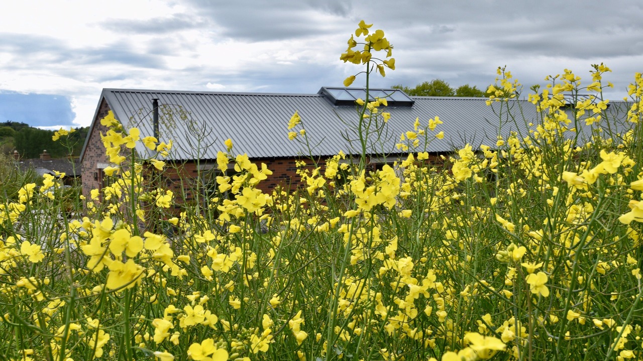 Photo of Outdoor in Haddington