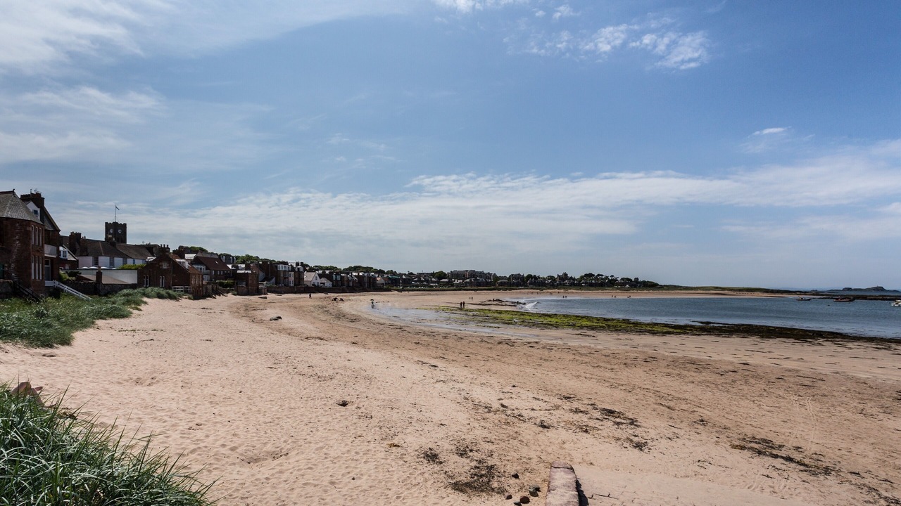 Photo of Others in North Berwick