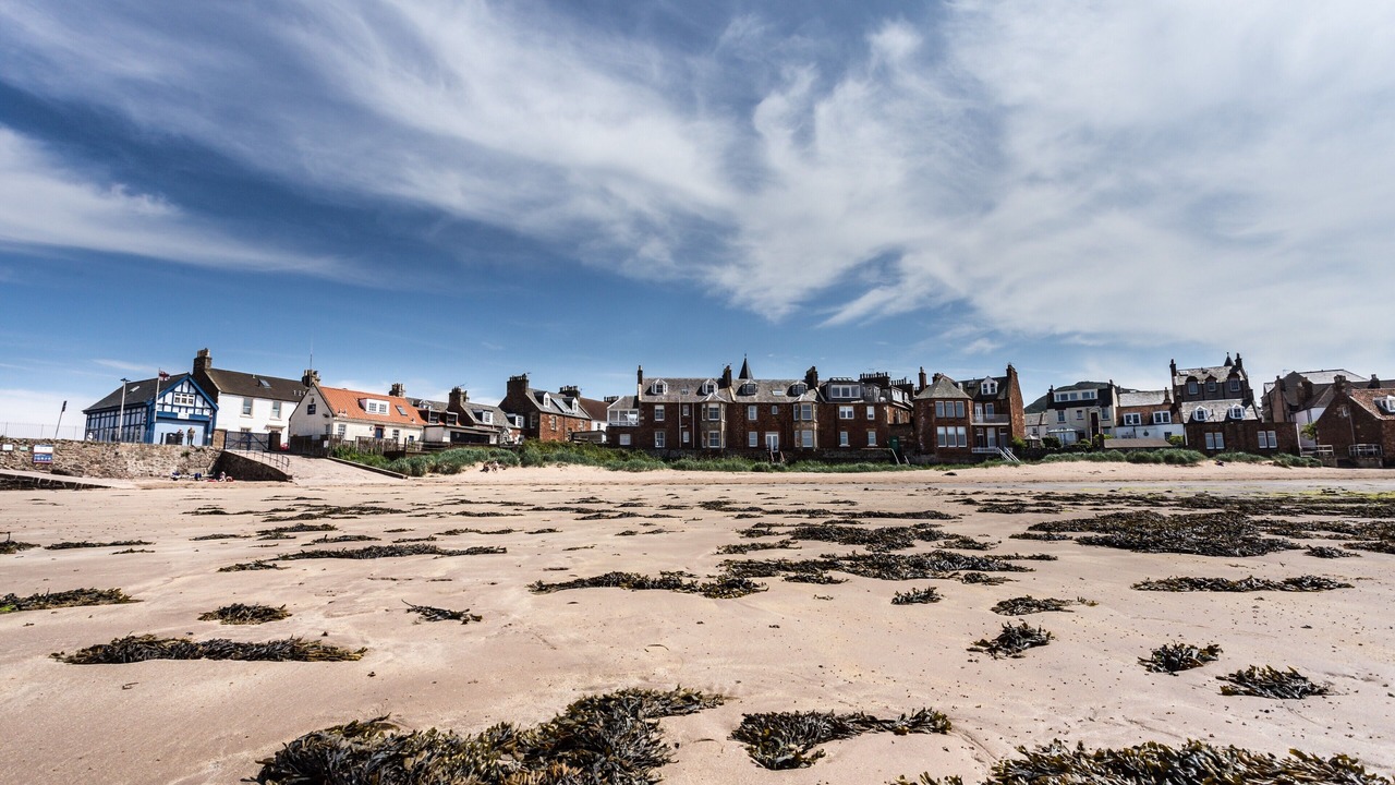 Photo of Others in North Berwick