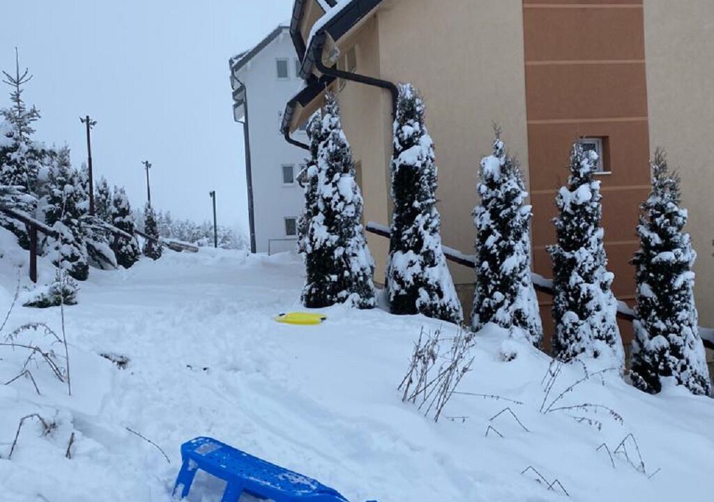 Photo of Outdoor in Kopaonik