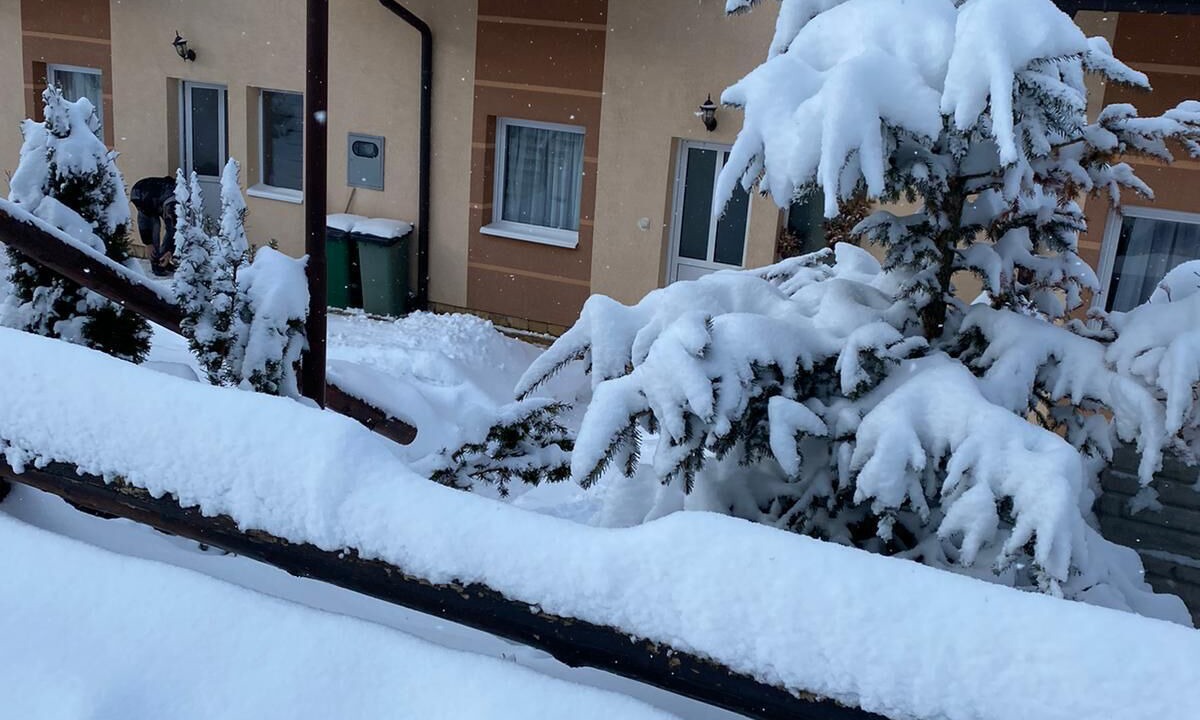 Photo of Outdoor in Kopaonik