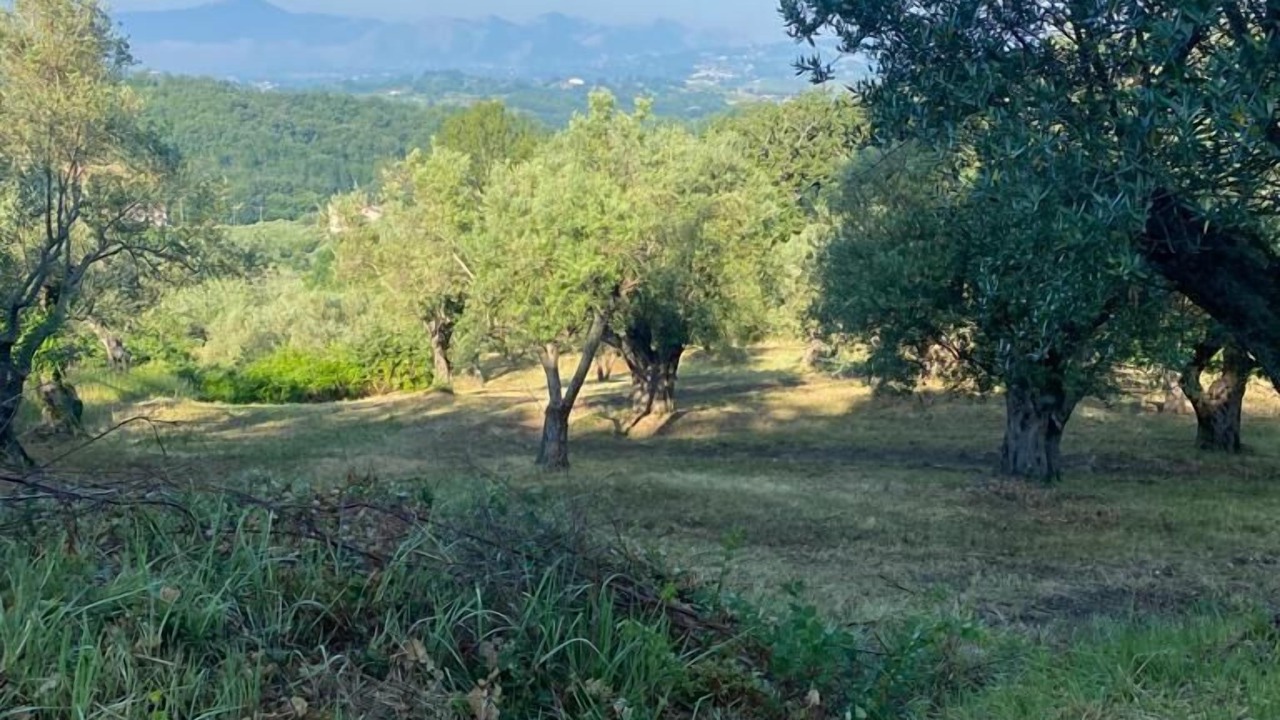 Photo of Others in Melizzano