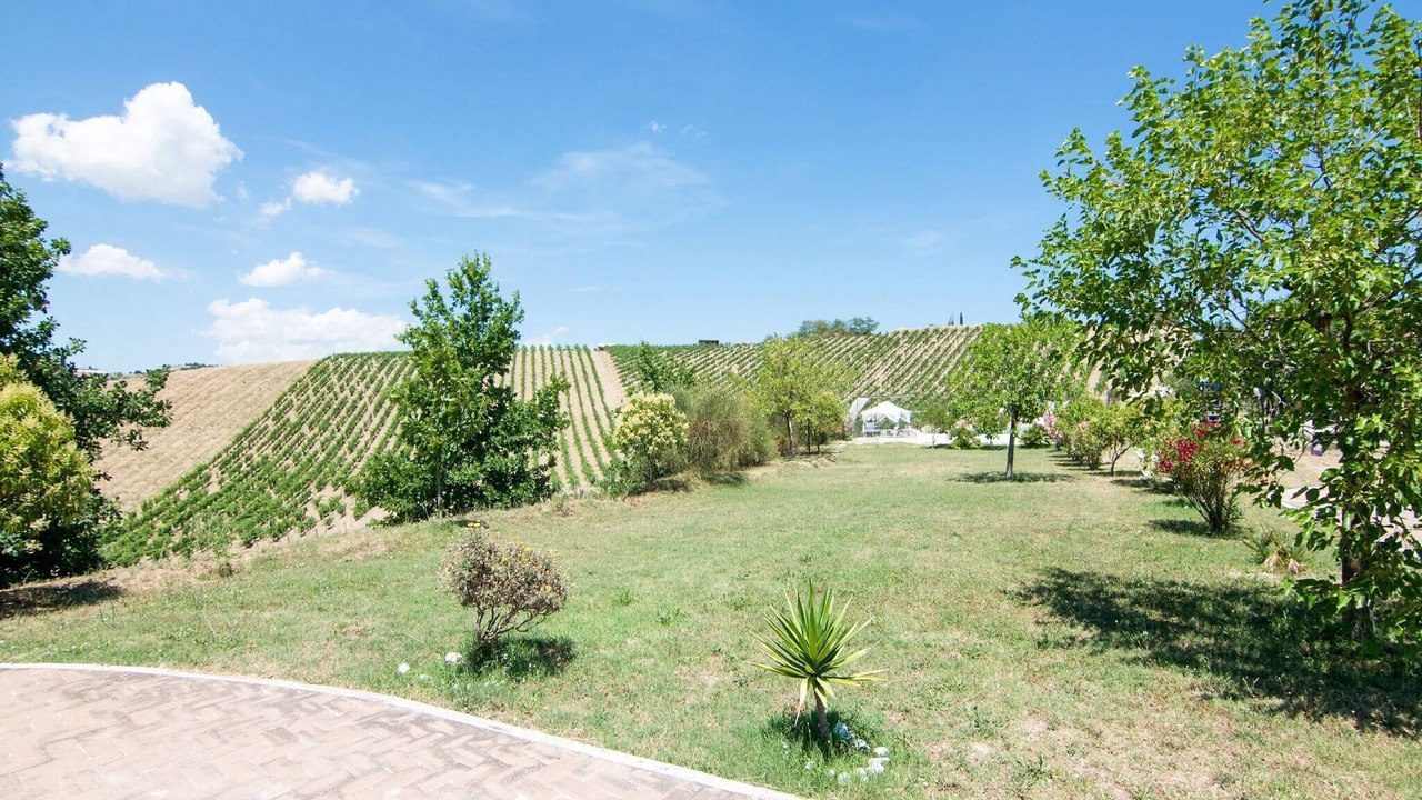 Photo of Outdoor in San Savino