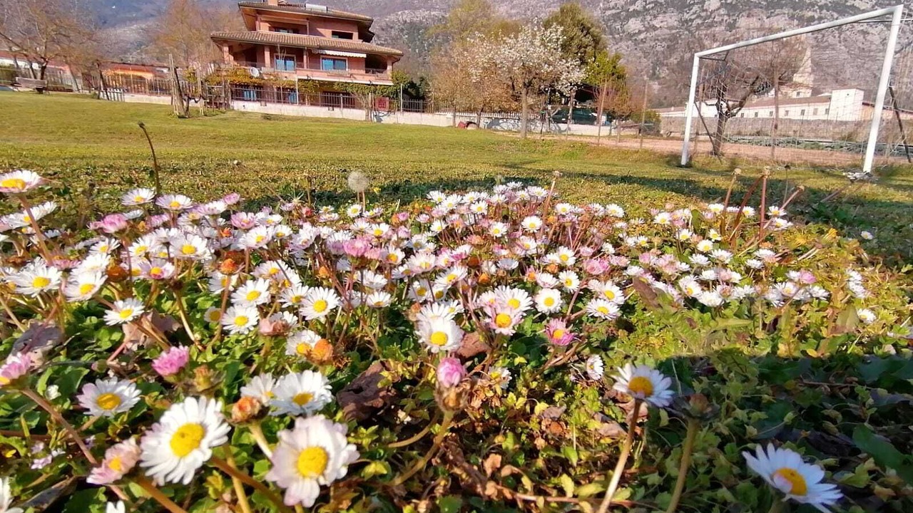 Photo of Outdoor in Badia