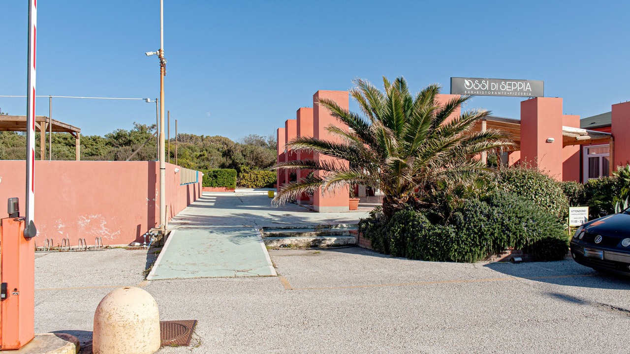 Photo of Outdoor in Marina di Pisa