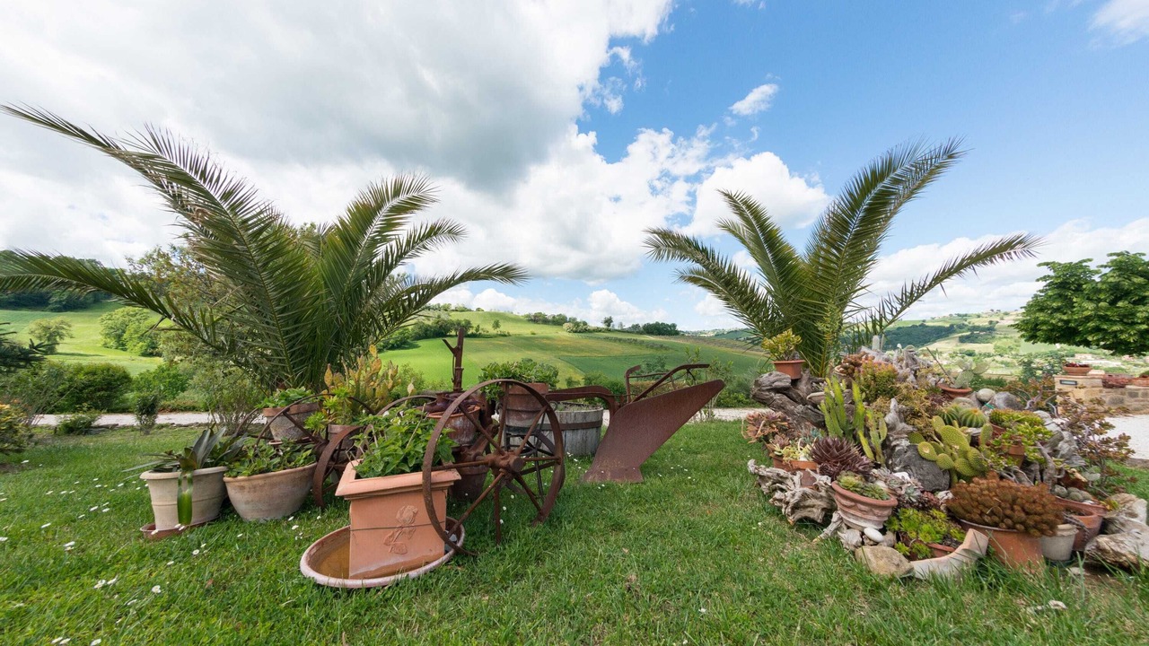 Photo of Outdoor in SantʼAngelo in Pontano