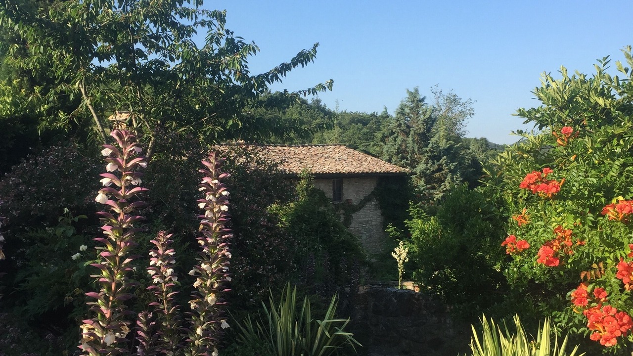 Photo of Outdoor in Umbertide
