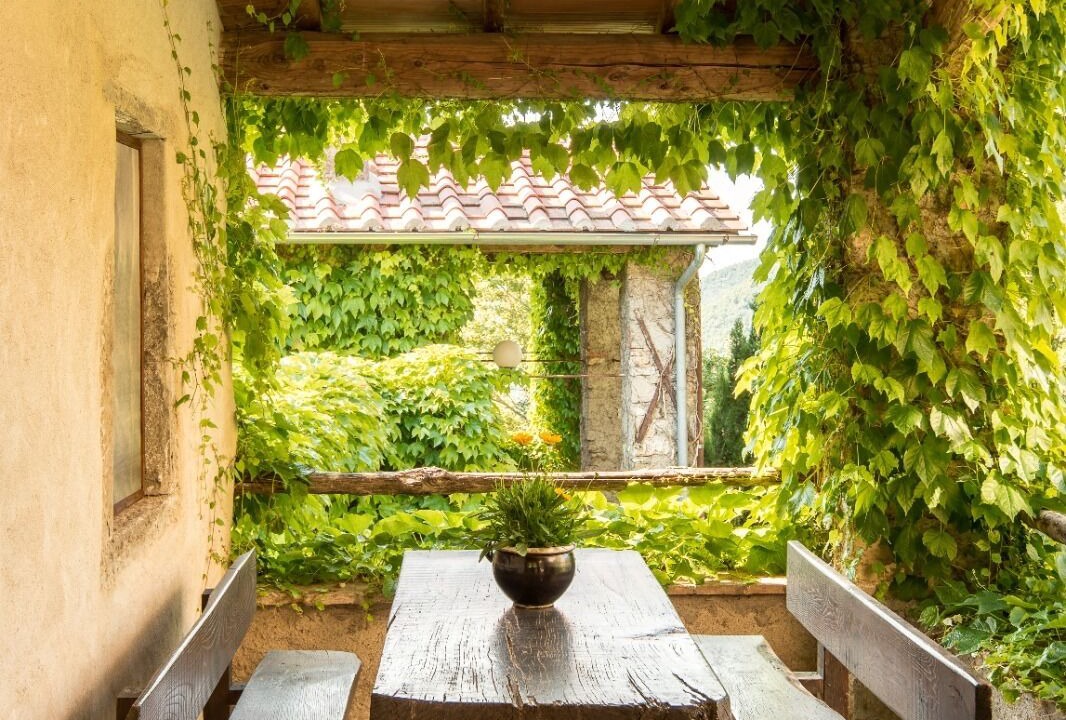 Photo of Others in Cortona