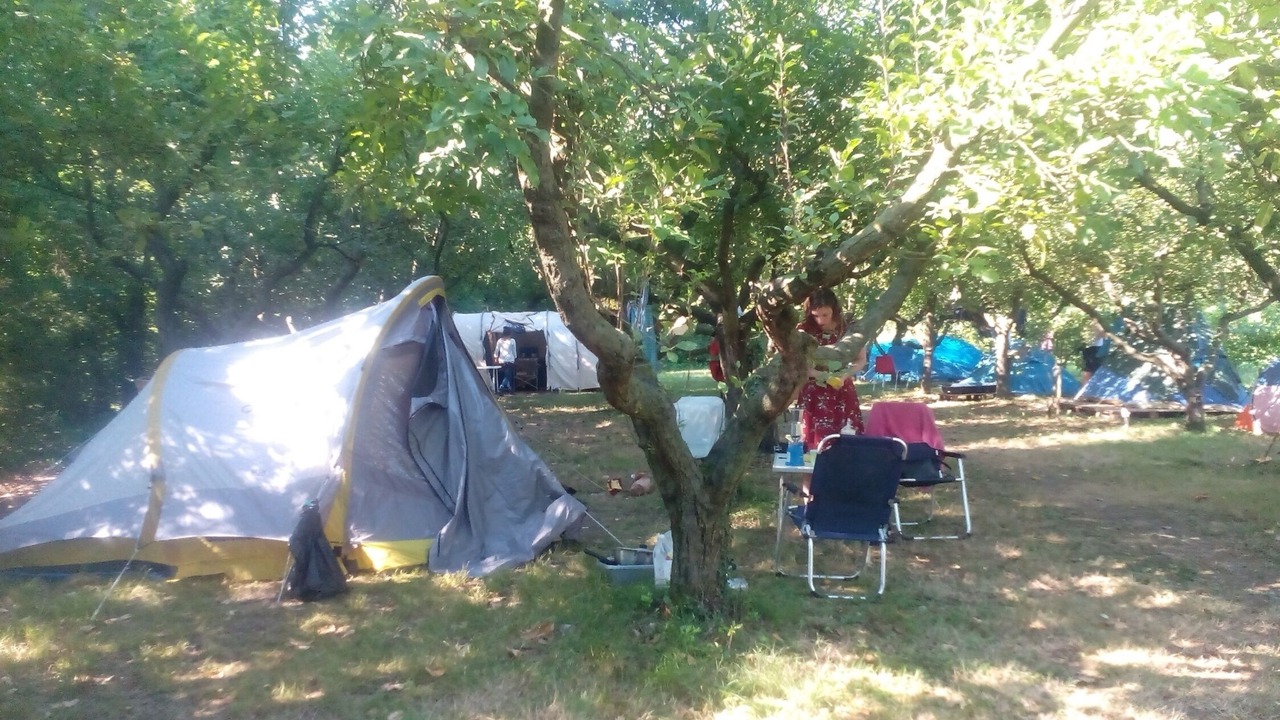 Photo of Outdoor in Zelarino