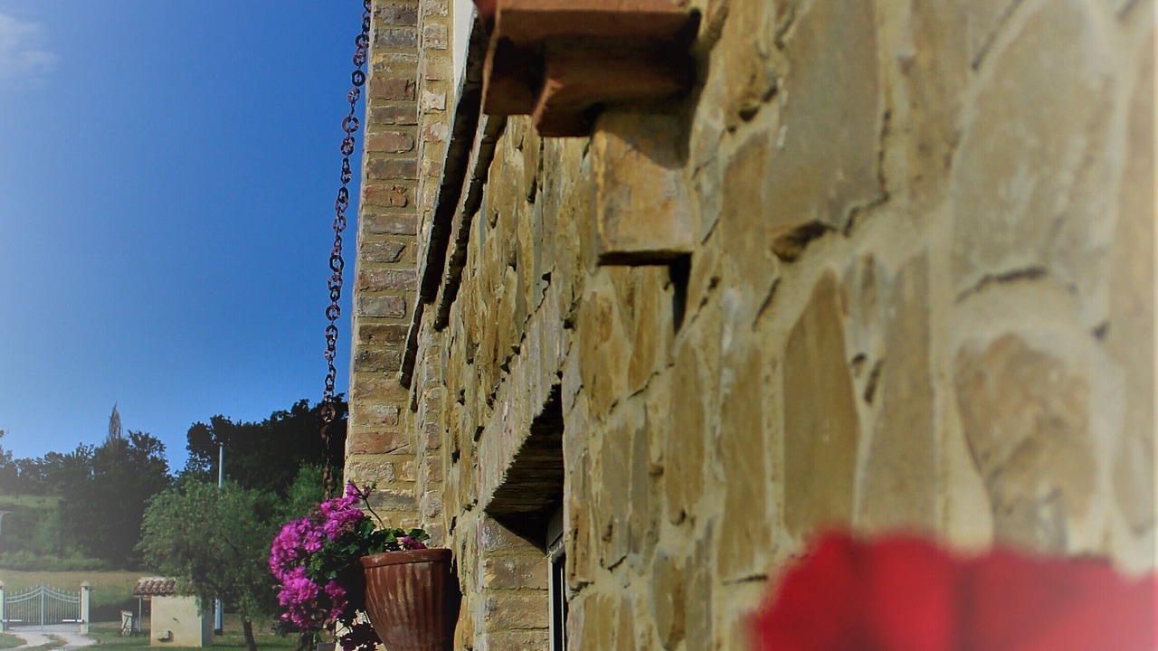 Photo of Outdoor in Mondavio