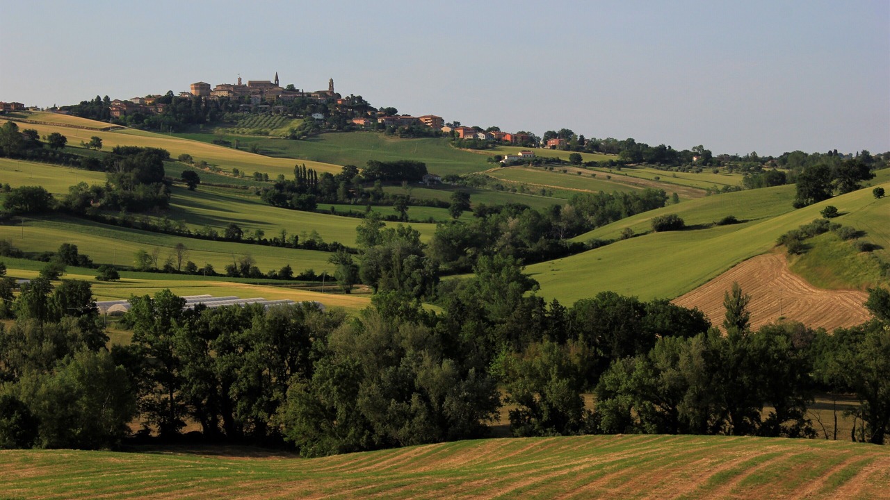 Photo of Outdoor in Mondavio