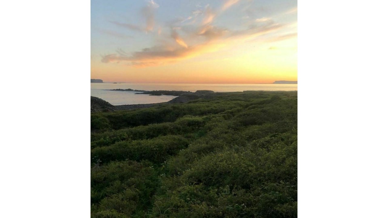 Photo of Others in Slate Islands