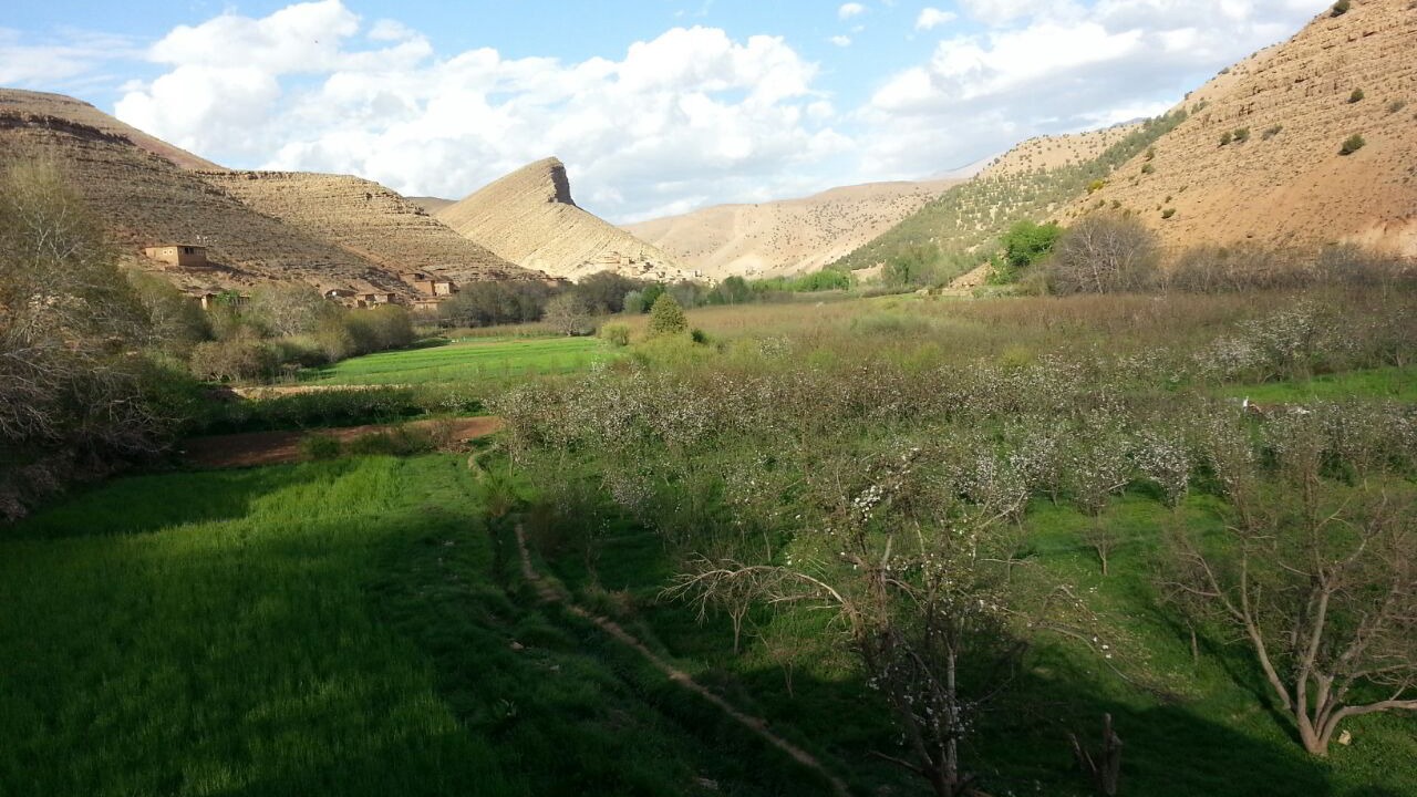 Photo of Outdoor in Ikhf nʼIghir