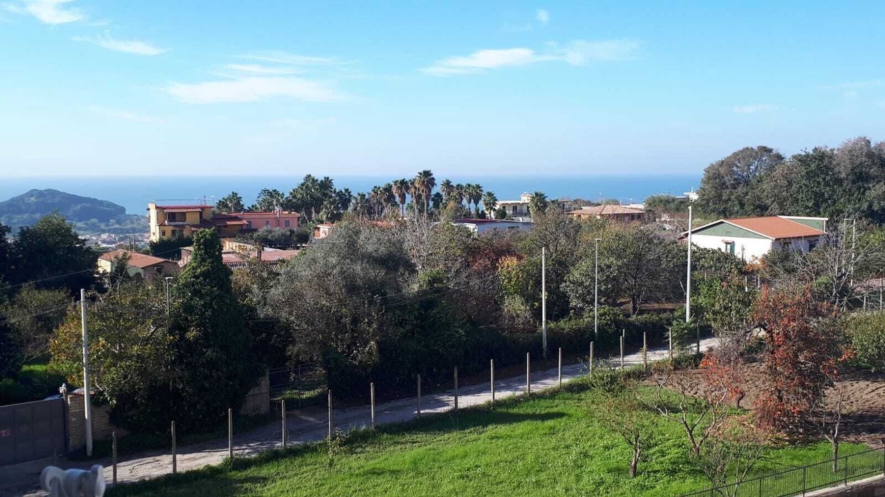Photo of Outdoor in Licola