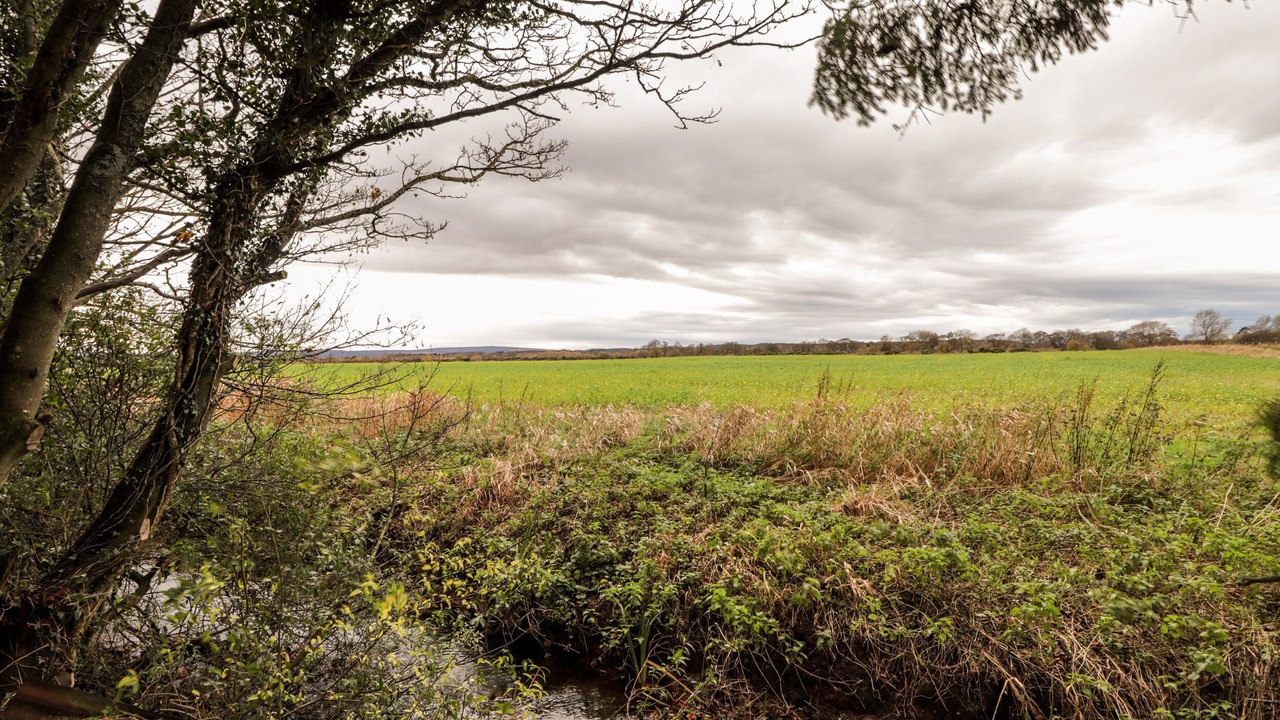 Photo of Outdoor in Fochabers