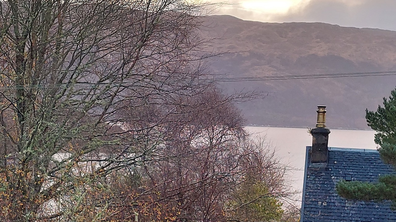Photo of Others in Salen