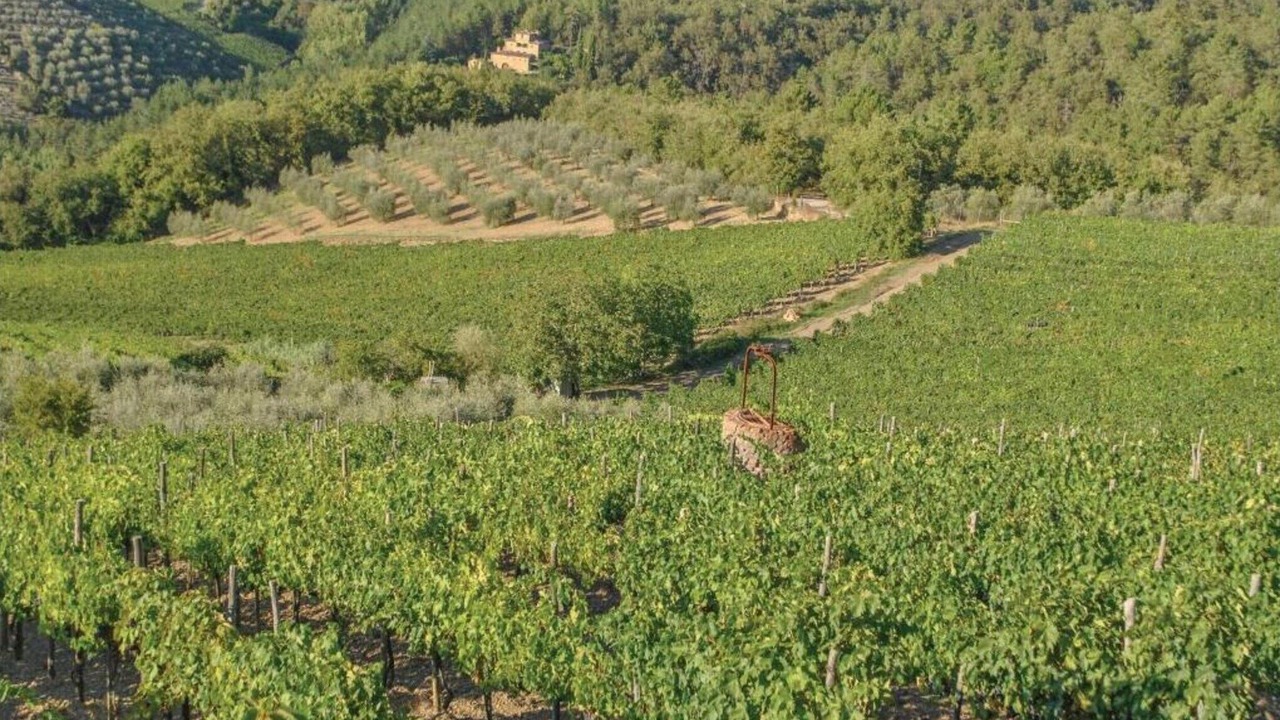 Photo of Others in Barberino Tavarnelle