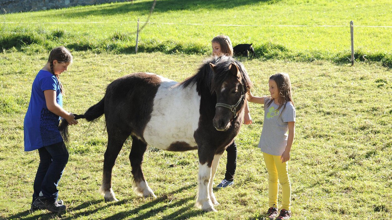 Photo of Others in Montechiaro