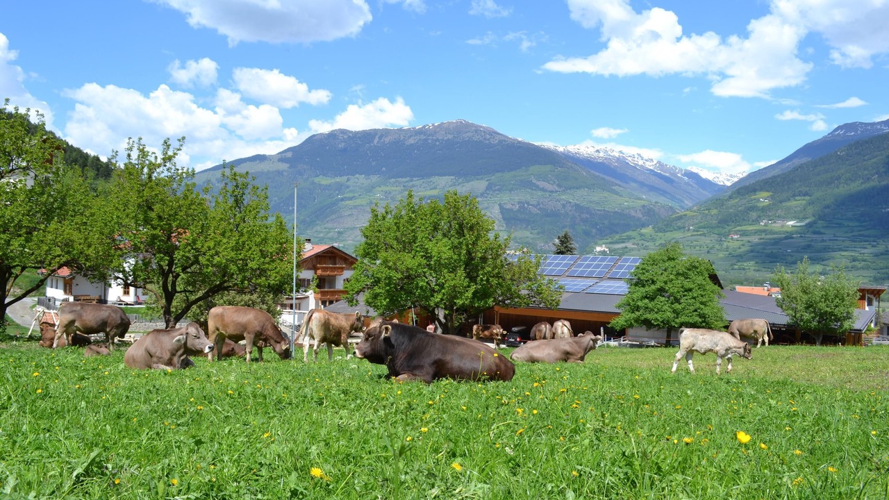 Photo of Others in Montechiaro