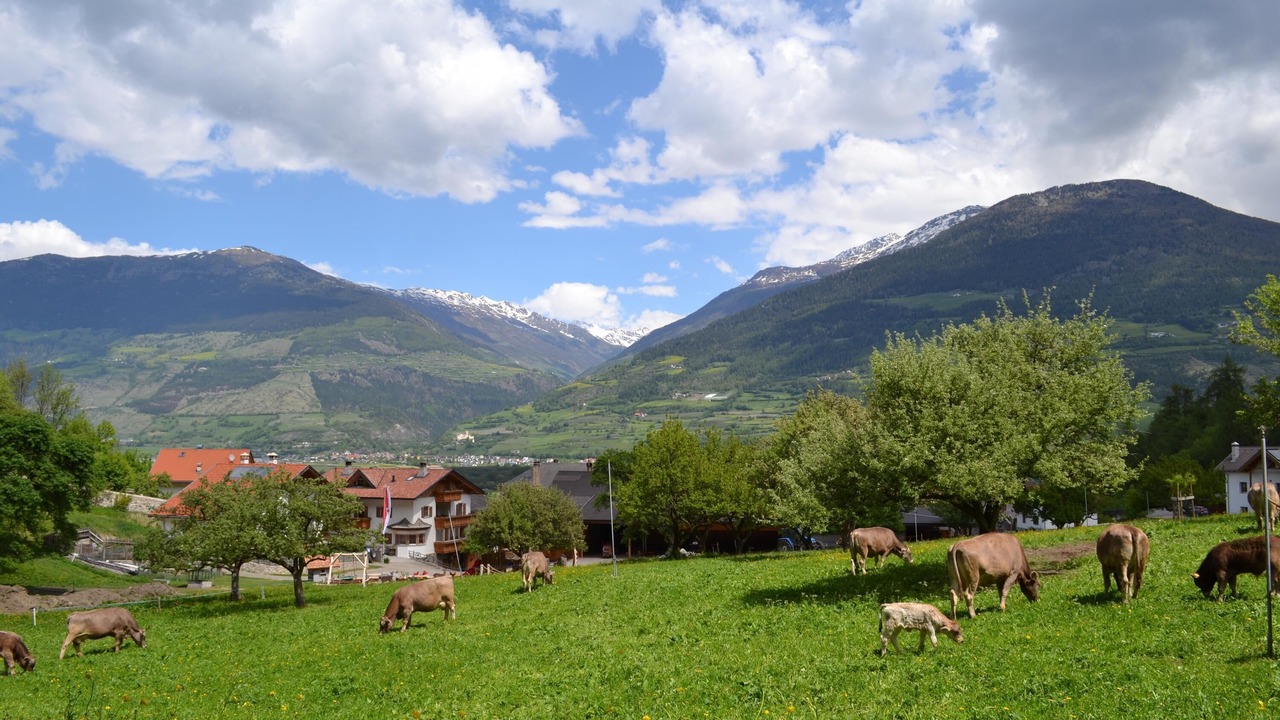Photo of Others in Montechiaro