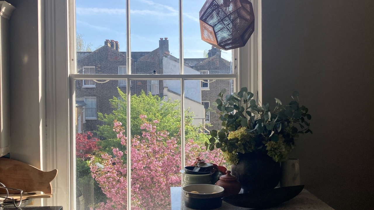 Photo of Others in Belsize Park