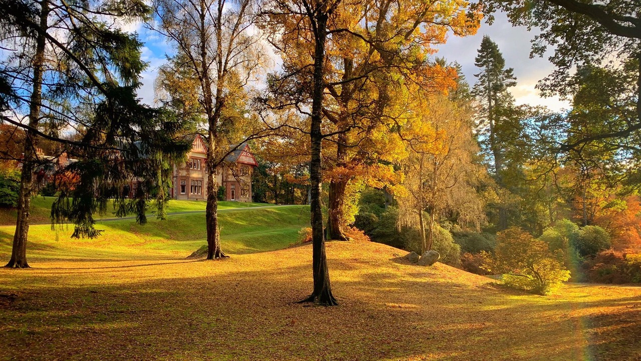 Photo of Outdoor in Murthly
