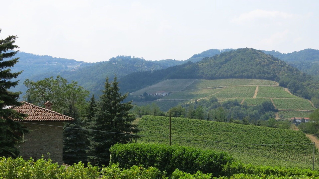 Photo of Others in Vesime