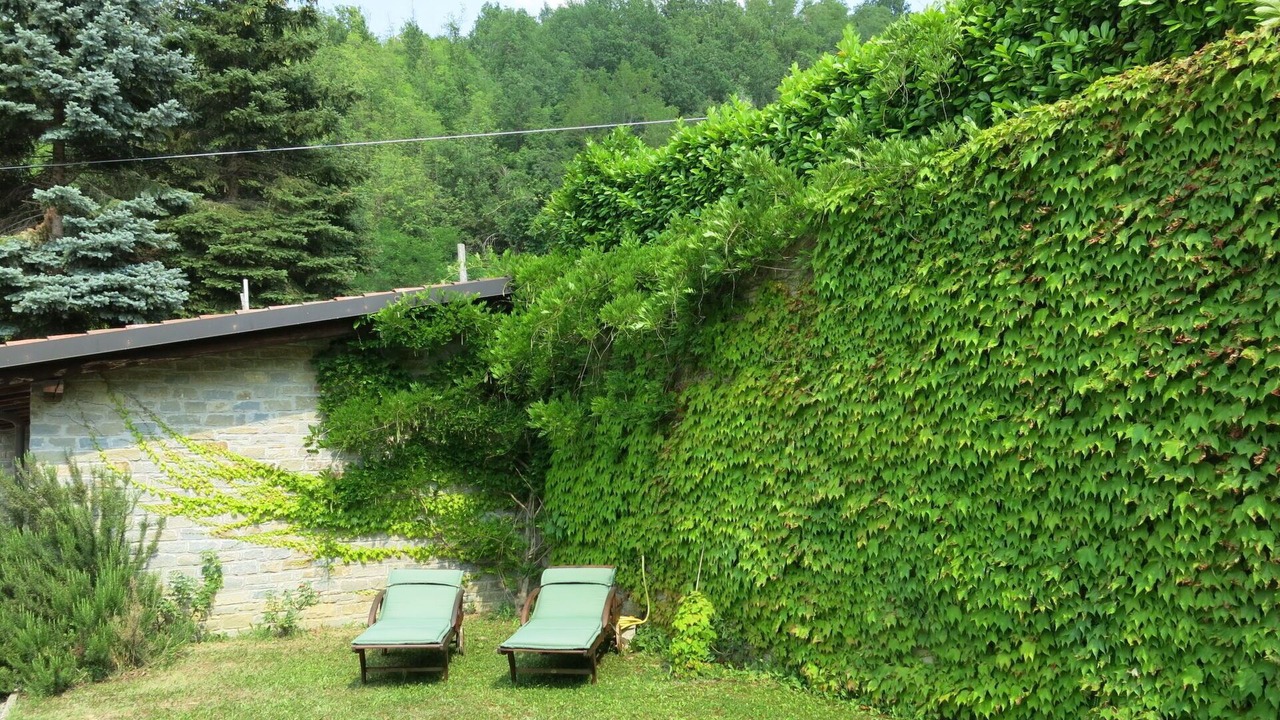 Photo of Others in Vesime