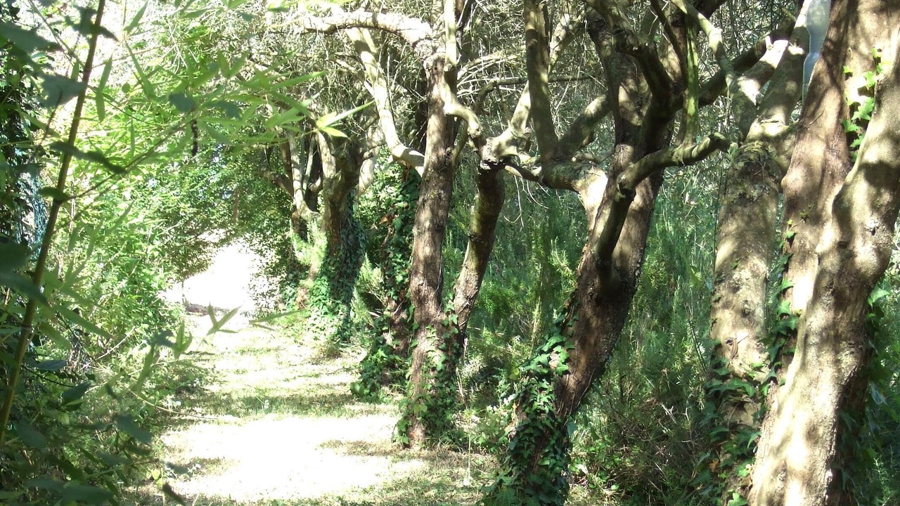 Photo of Outdoor in Monte San Vito