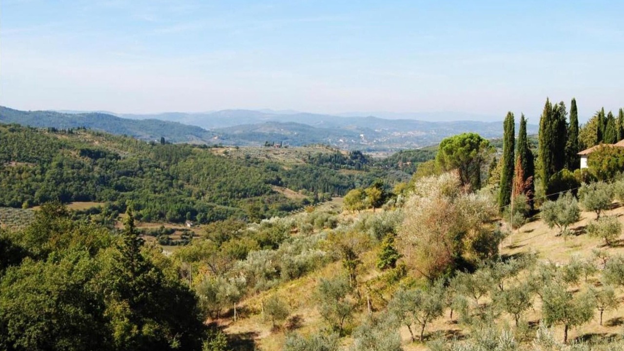 Photo of Others in Chiusi della Verna