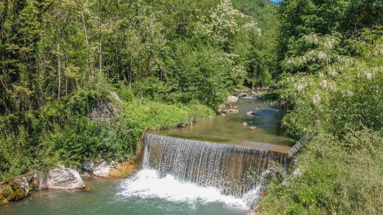 Photo of Others in Chiusi della Verna