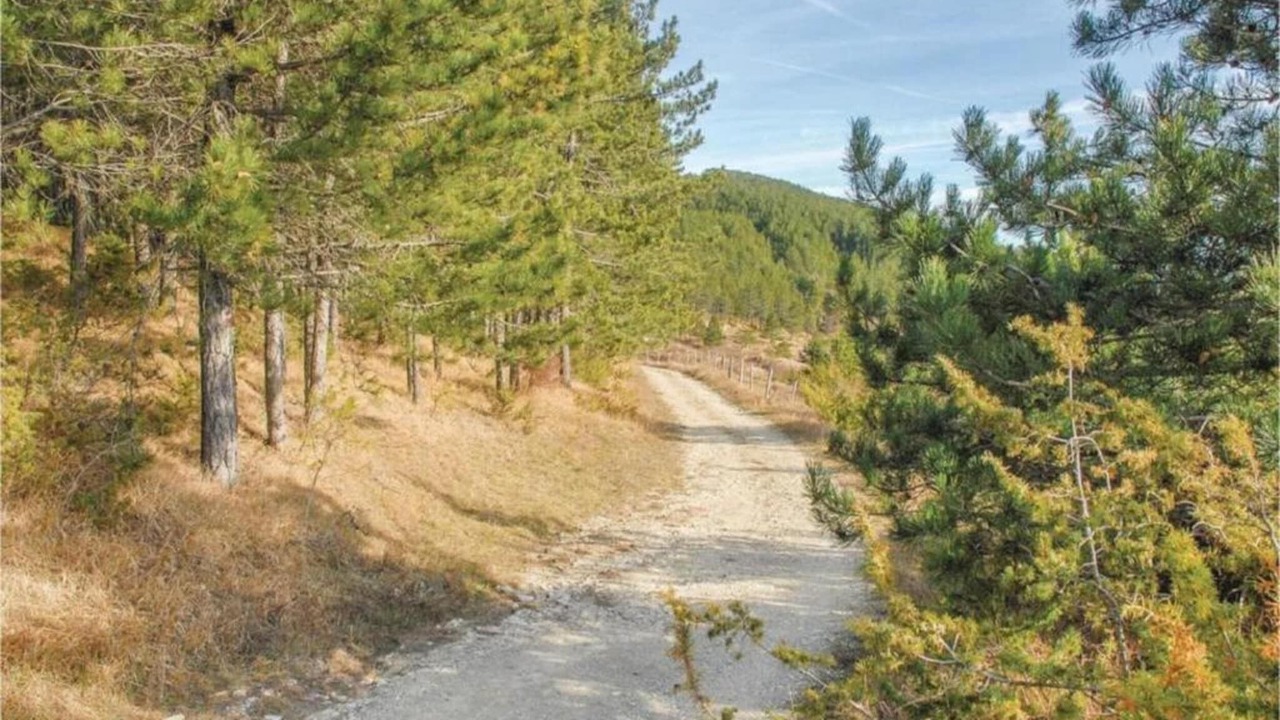 Photo of Others in Chiusi della Verna