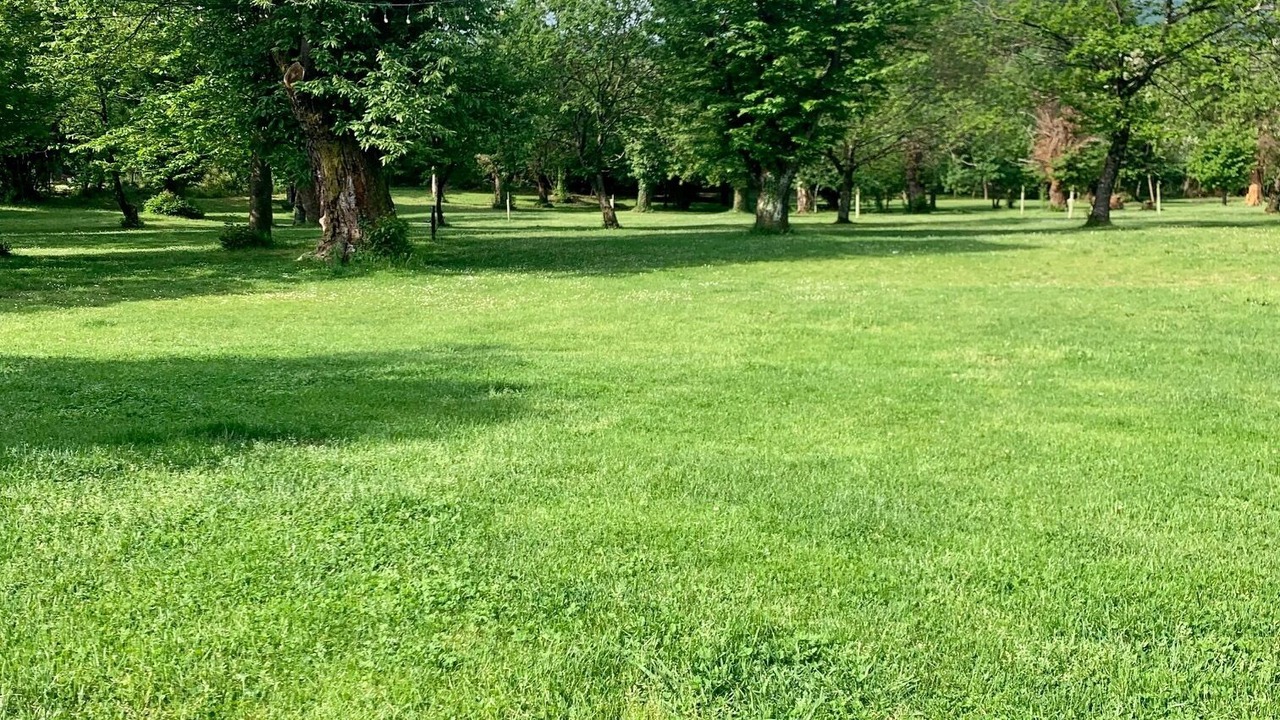 Photo of Outdoor in Villafranca in Lunigiana