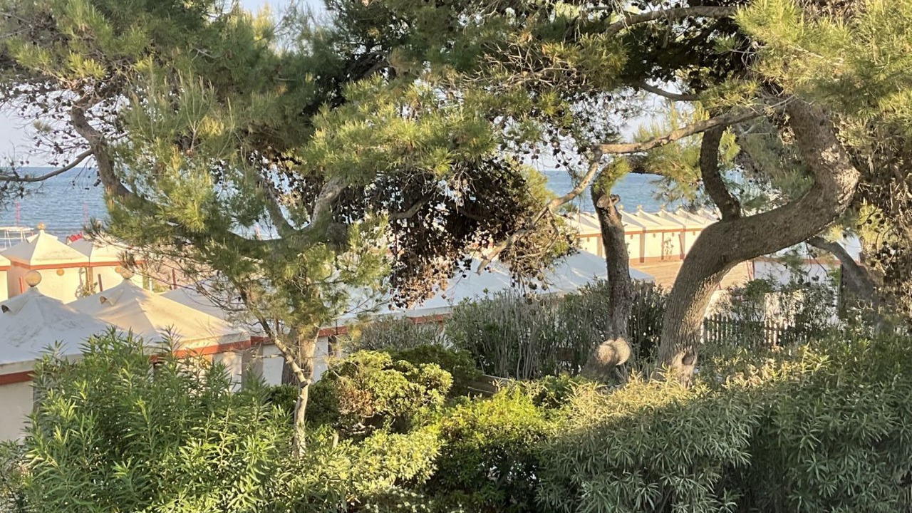 Photo of Outdoor in Santa Maria in Stelle